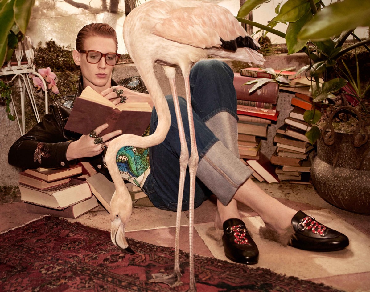 O brasileiro Lucas Dambros na campanha da Gucci Pre-Fall 2016 ©Glen Luchford/Reprodução