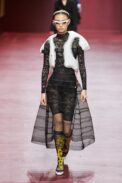00012-christian-dior-fall-2022-ready-to-wear-paris-credit-gorunway-1.jpeg