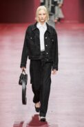 00041-christian-dior-fall-2022-ready-to-wear-paris-credit-gorunway-1.jpeg