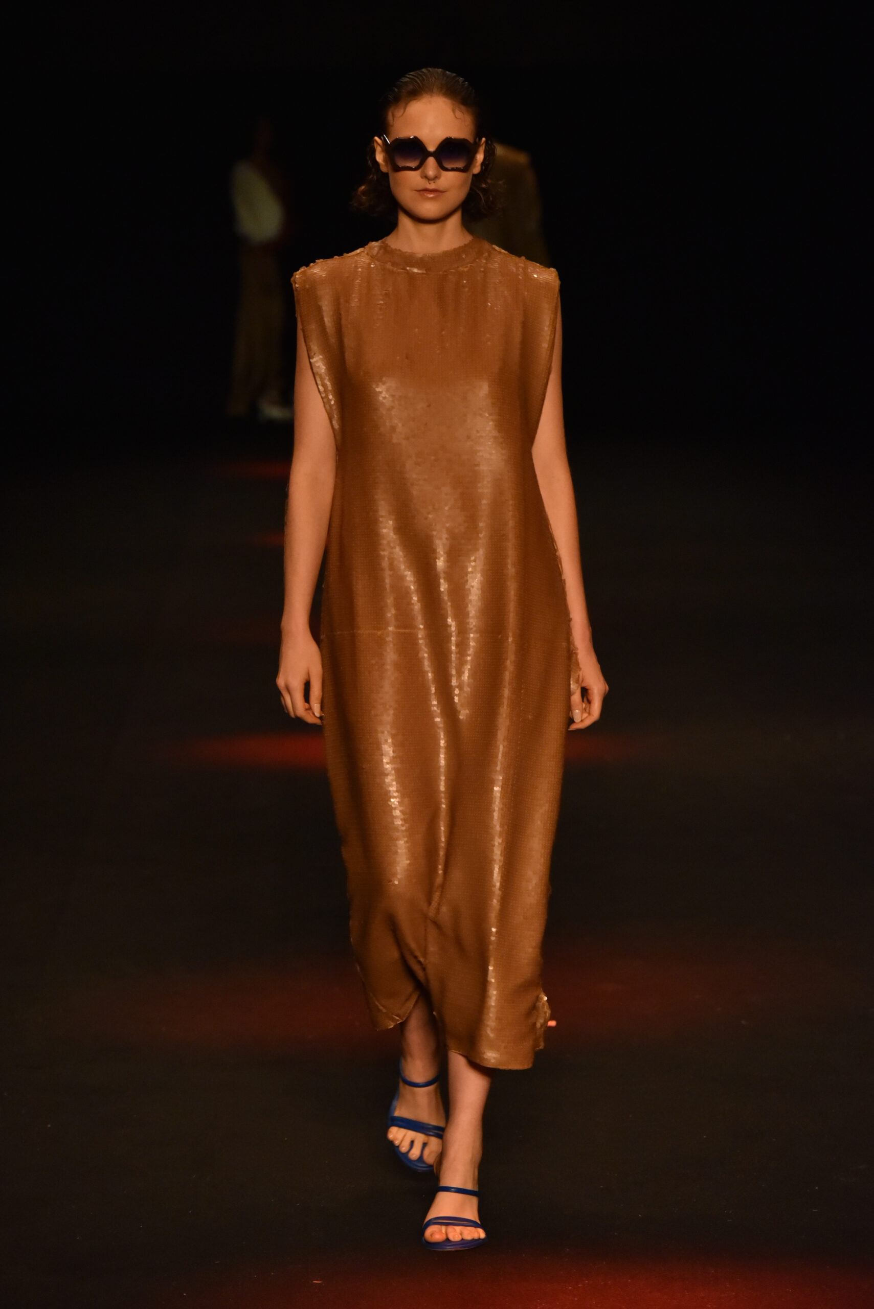 dsc-2021-1.jpg