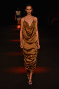 dsc-2104-1.jpg