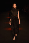 dsc-2236-1.jpg