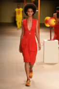 dsc-6015b-2.jpg