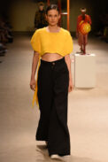 dsc-6288a-1-1.jpg