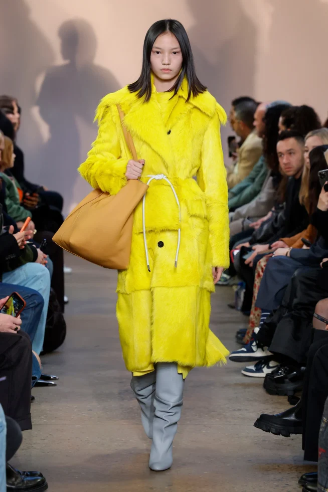 00011-proenza-schouler-fall-ready-to-wear-credit-jonas-gustavsson