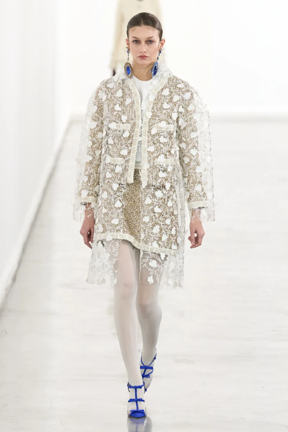 00036-giambattista-valli-fall-2023-ready-to-wear-credit-gorunway