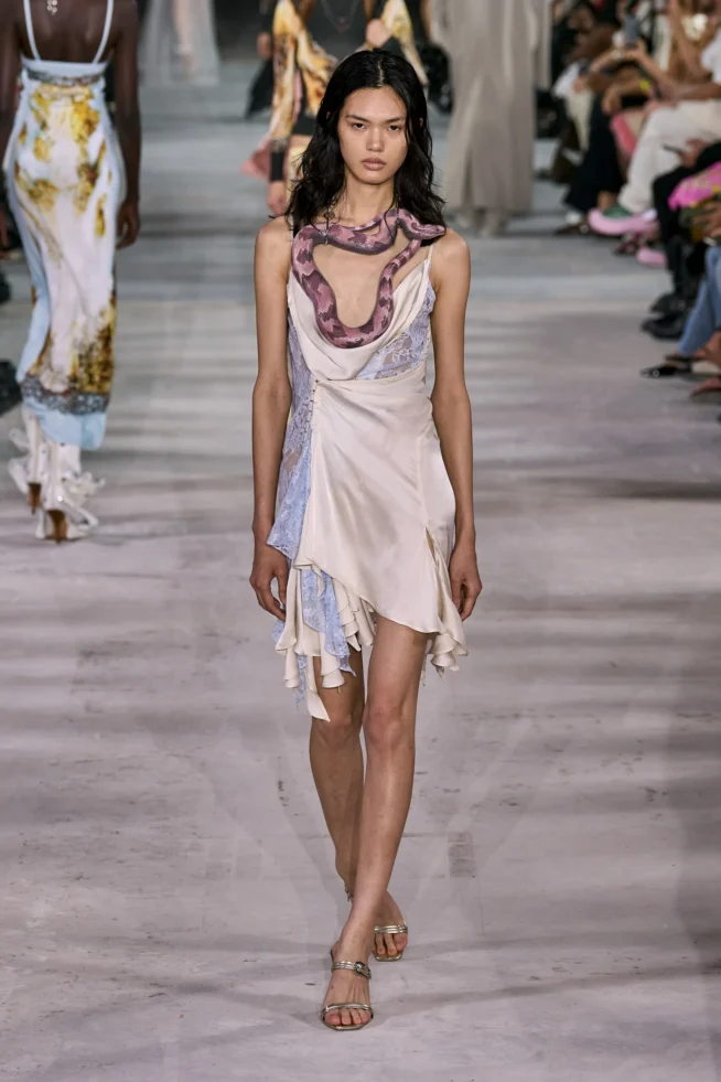 00037-y_project-spring-2024-ready-to-wear-credit-gorunway