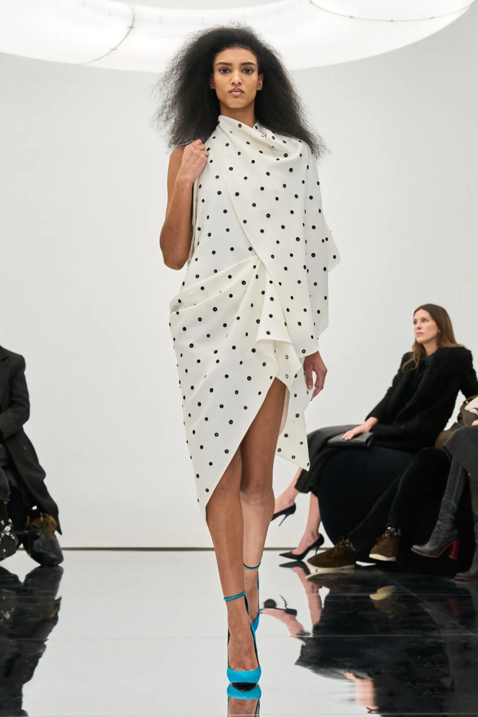 00029-alaia-fall-2024-ready-to-wear-credit-brand