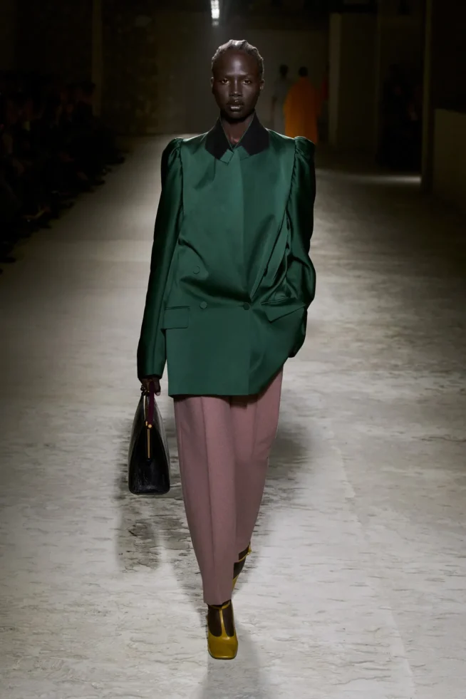 00031-dries-van-noten-fall-2024-ready-to-wear-credit-gorunway