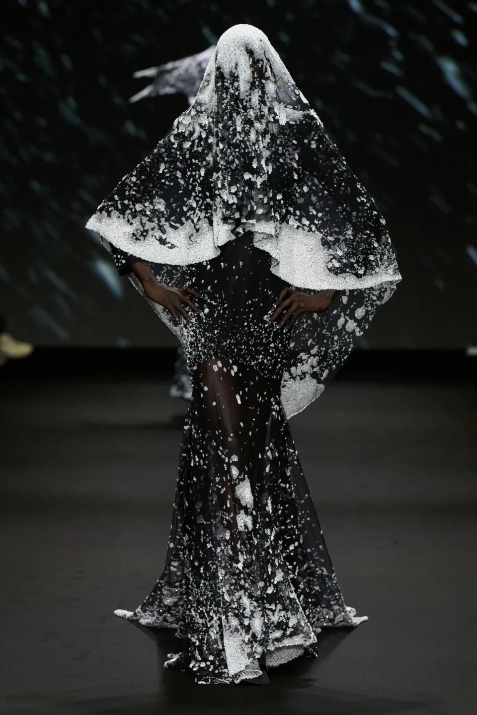 00001-robert-wun-fall-2024-couture-credit-gorunway