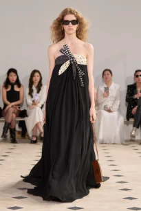 00022-celine-spring-2026-ready-to-wear-credit-gorunway