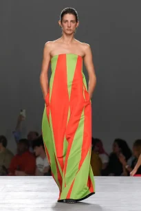 _PLA0072