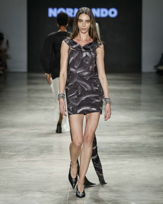 Normando

SPFW N60

Foto: Ze Takahashi/ @agfotosite