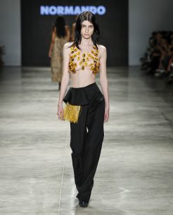 Normando

SPFW N60

Foto: Ze Takahashi/ @agfotosite