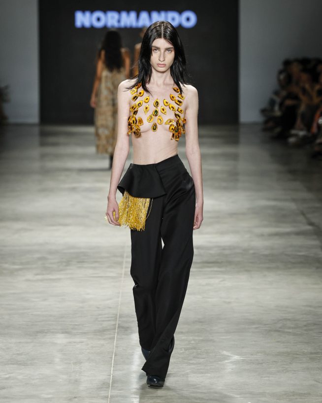 Normando

SPFW N60

Foto: Ze Takahashi/ @agfotosite