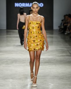 Normando

SPFW N60

Foto: Ze Takahashi/ @agfotosite