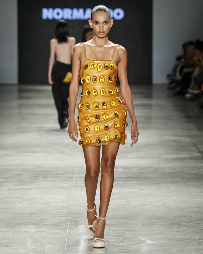 Normando

SPFW N60

Foto: Ze Takahashi/ @agfotosite