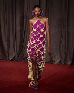 2024 all rights reserved