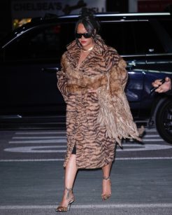 Rihanna usa casaco e mistura de animal print em NY