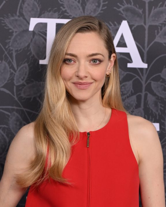 Look de Amanda Seyfried