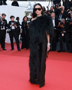Demi Moore em Cannes