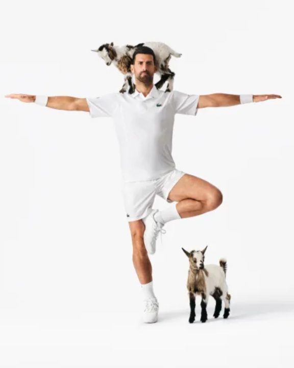 Lacoste substitui crocodilo por cabra em nova coleção cápsula GOAT com Novak Djokovic