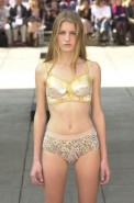 desfile-fausehaten-spfwverao2003-137