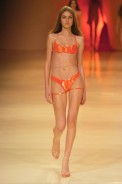 desfiles-rosacha-saopauloverao2005rtw-168