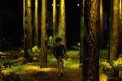 ralm_d_m_v07_033