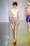 desfiles-zigfreda-saopauloverao2007rtw-106