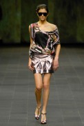 desfiles-animale-rioverao2008rtw-112