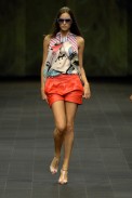 desfiles-animale-rioverao2008rtw-128