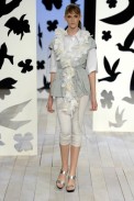 desfiles-gracaottoni-rioverao2008rtw-102