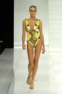 desfiles-lenny-rioverao2008rtw-104