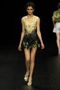 desfiles-marciaganen-rioverao2008rtw-115