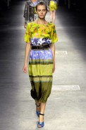 desfiles-driesvannoten-paris-verao2008rtw-139