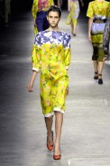 desfiles-driesvannoten-paris-verao2008rtw-141
