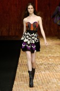 desfiles-coven-rioinverno2008rtw-115