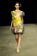 desfiles-melkzda-rioinverno2008rtw-111