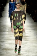 desfiles-driesvannoten-parisinverno2008rtw-139