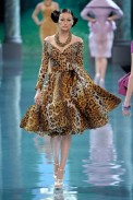 desfiles-diorcouture-parisinverno2008hc-124