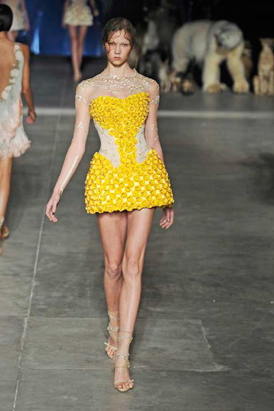 desfile-amcqueen-parisveraortw2009-116