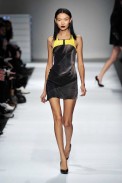desfiles-hchalayan-parisinverno2009rtw-118