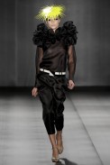 alim_v10_006