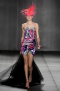 alim_v10_021