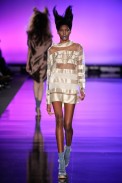 rdog_v11_041
