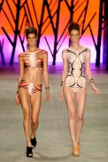 triya-desfile-fashion-rio-2011-10-43