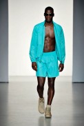 cal_ss11_049