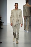 cal_ss11_084