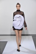 val_HC_fw10_043